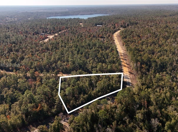 ALENE DR, FL 32420