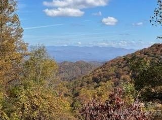 580 Freemont Drive unit: 80, Leicester, NC 28748