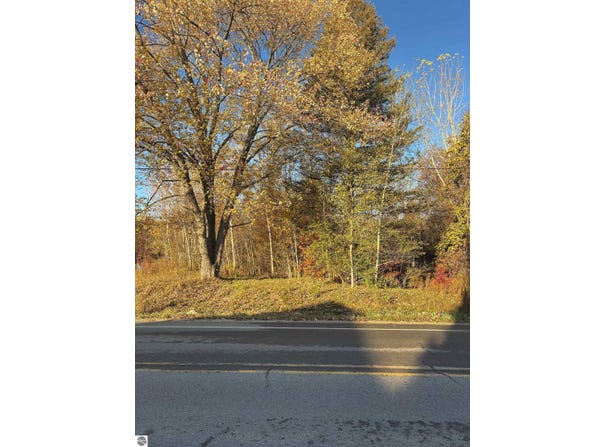 8698 Old State Avenue, Farwell, MI 48622