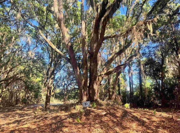 34 Dune Oaks Dr., Georgetown, SC 29440