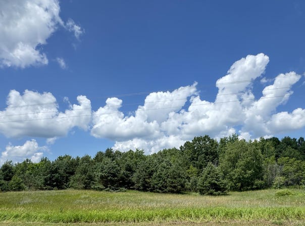 6 Acres E 48th Street, Chase, MI 49623