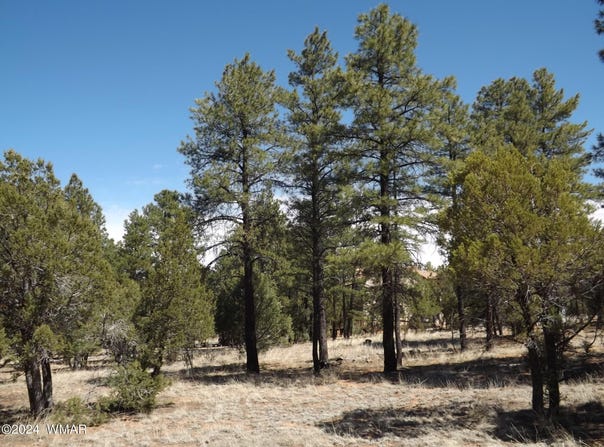 2214 Forest Park Drive, Overgaard, AZ 85933