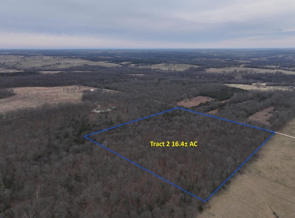 N County Road 96, Walnut Grove, MO 65770