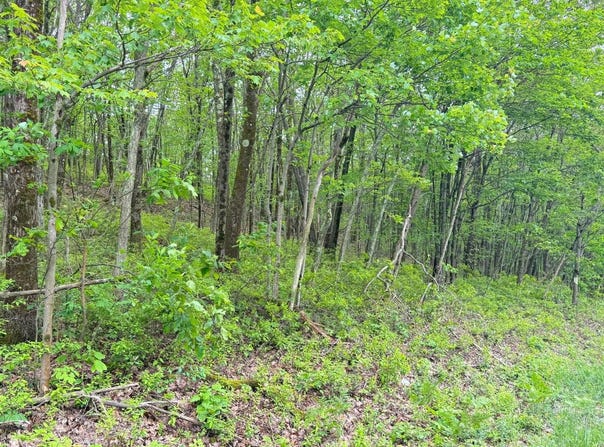 182 SALEM MOUNTAIN RD, CARBONDALE, PA 18407