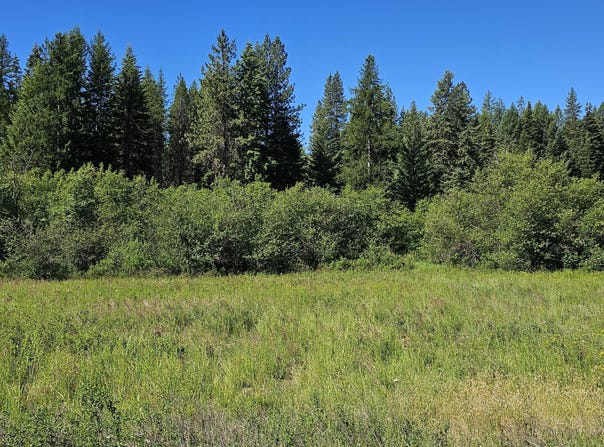 5XXX OLINGER RD, SPRINGDALE, WA 99173