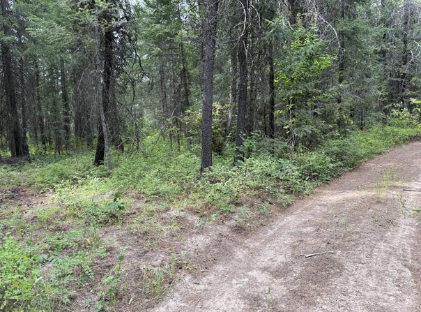 LOT 2 SPRINGDALE-HUNTERS RD, SPRINGDALE, WA 99173