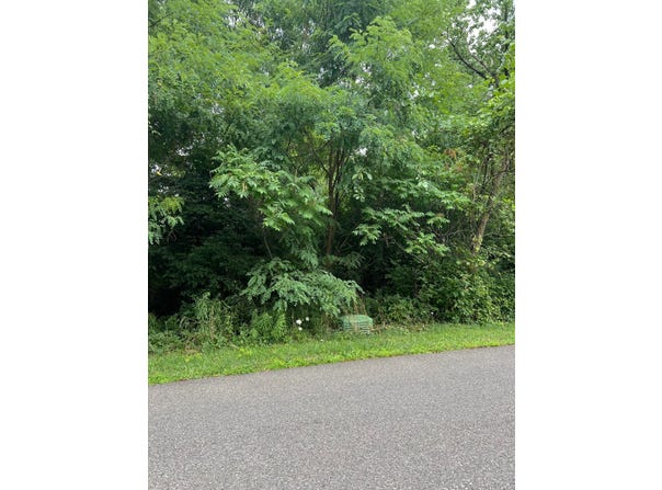 L 7 Johnson Street, Canajoharie, NY 13317