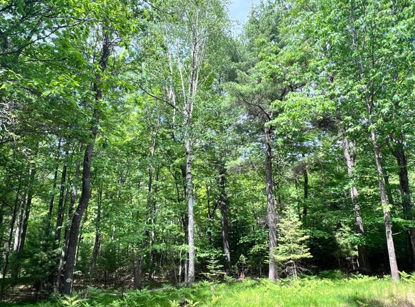 WHITE PINE DR lot: 38, Eagle River, WI 54521