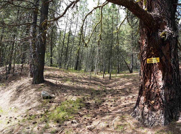 Fire Ridge Rd. lot: 28,27, Garden Valley, ID 83622