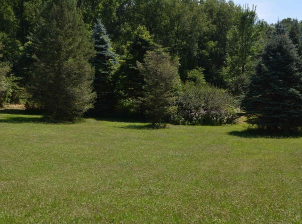 TBD Rose Marie Lane, Mt Pleasant, MI 48858