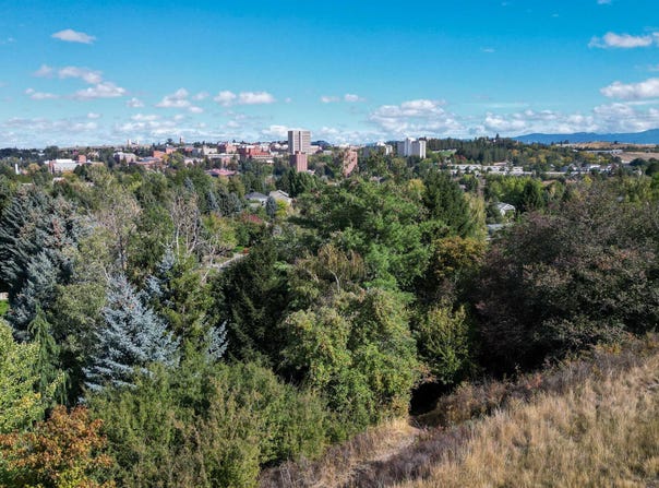 620 SE Crestview Dr, Pullman, WA 99163