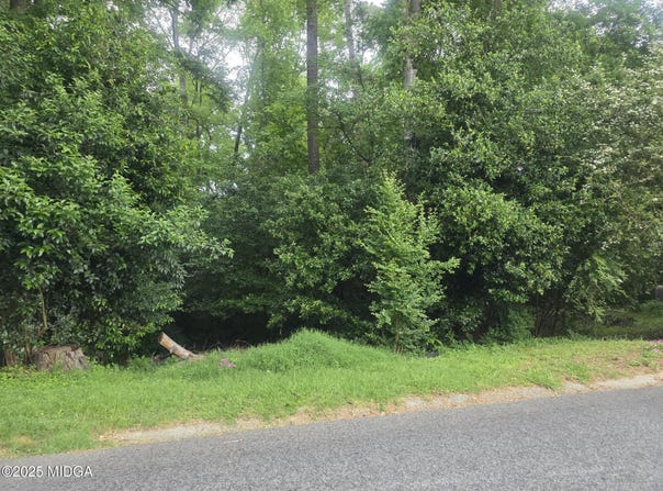 1074 N Pine Knoll Drive, Macon, GA 31204
