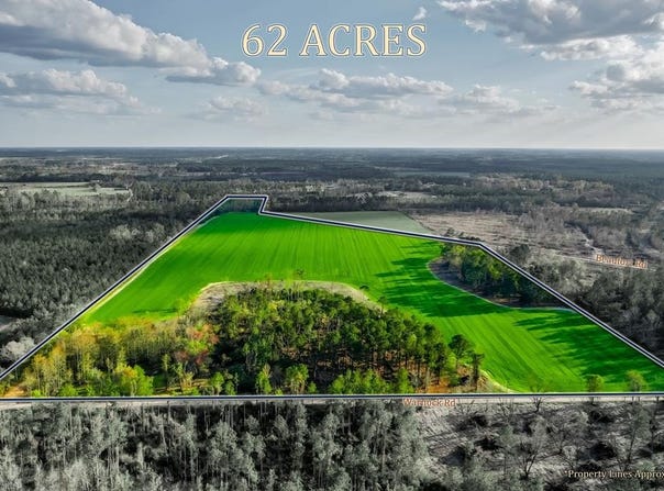 Beaufort Rd. & Warnock Rd., Alma, GA 31510