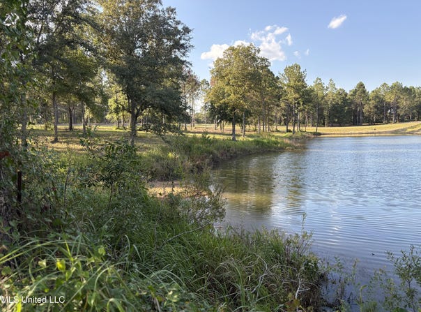 Shellcracker Drive lot: 7, Lucedale, MS 39452