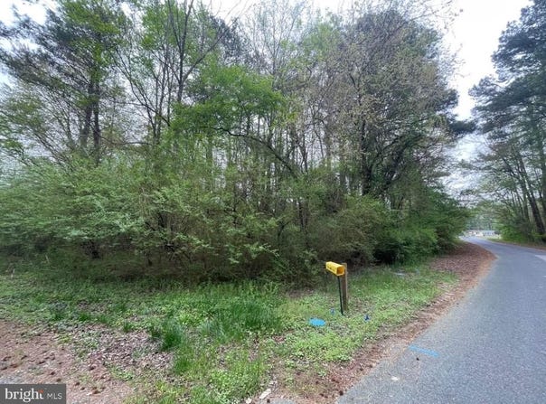 NELPINE Road, PRESTON, MD 21655