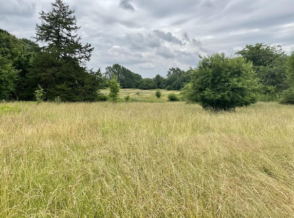 Tbd N Farm Road 71, Bois D Arc, MO 65612