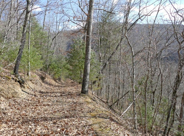 0 Upper Back Creek Road, Monterey, VA 24465