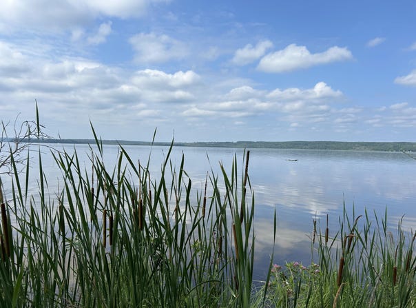 Emils Landing Road, Hillman, MI 49746