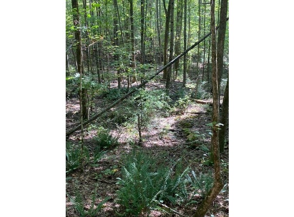 0 Wigdon Rd Lot 1, Opelika, AL 36801