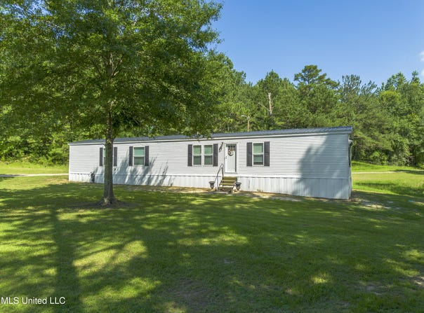 3218 County Road 16, Louin, MS 39338