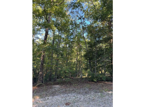 Sled Run Road lot: 93, Wellington, KY 40387