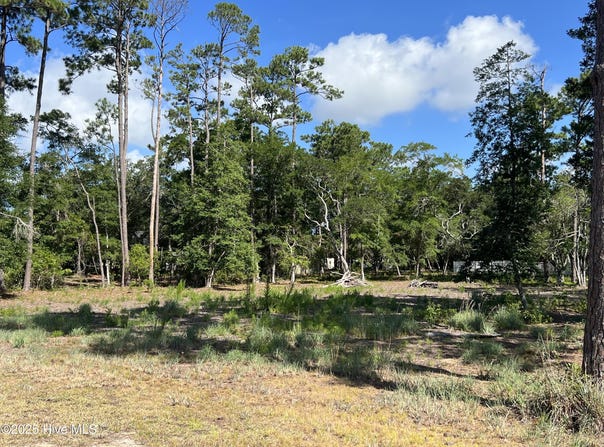 2615 Bellamy Drive, Supply, NC 28462