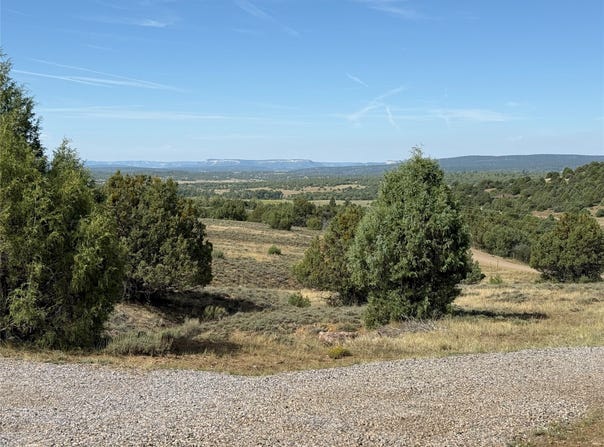 196 CR 341, Chama, NM 87520