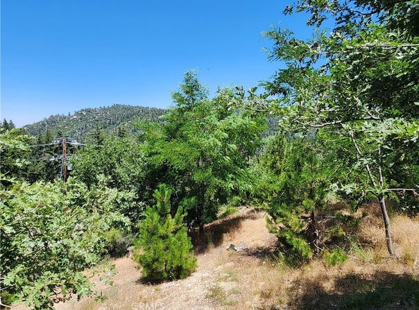 31912 Encina Way, Running Springs, CA 92382