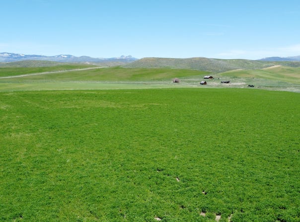 TBD County Road 29, Craig, CO 81625