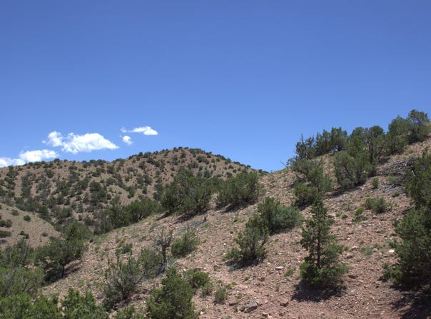 Tres Amigos, Placitas, NM 87043