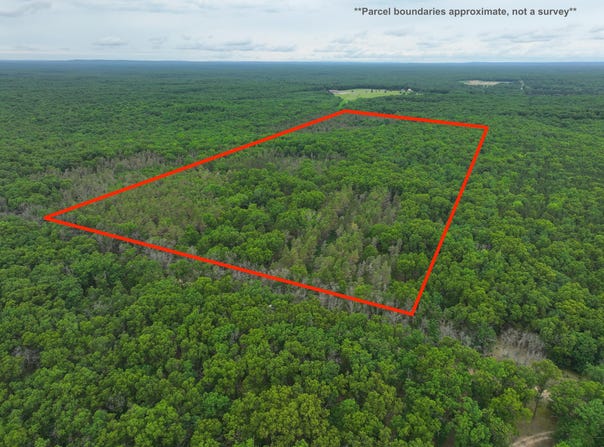 7376 W 7 Mile Road, Irons, MI 49644