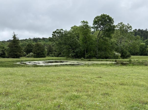 15 acres Liberty Road, Norman, AR 71960