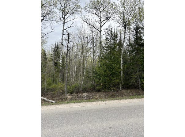 13496 N Mackinaw Highway, Mackinaw City, MI 49701