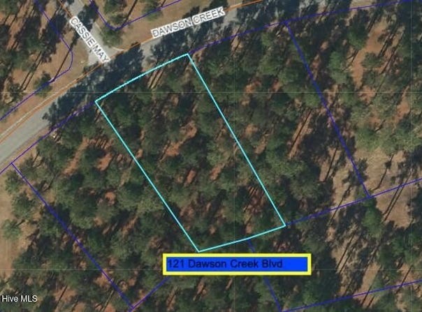 212 Dawson Creek Boulevard lot: 87, Arapahoe, NC 28510