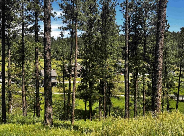 Block 7 lot 5, Hill City, SD 57745