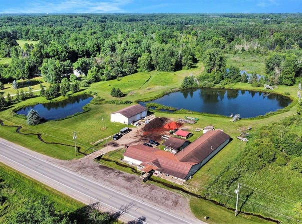 650 S State Street, Stanton, MI 48888