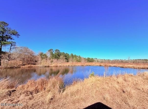John Smith Road, Mount Hermon, LA 39518