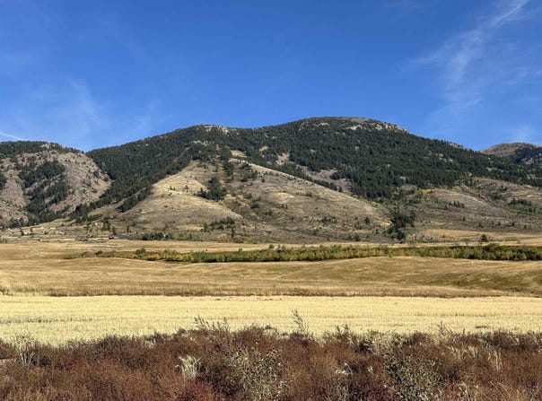 LOT 28 EAGLE VIEW DRIVE, Inkom, ID 83245