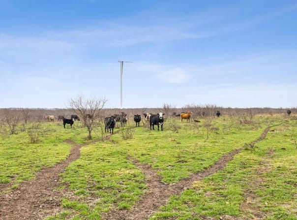 6555 FM 638, Dawson, TX 76639