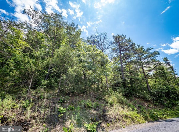 Lot 8 STAR TANNERY ROAD, STAR TANNERY, VA 22654