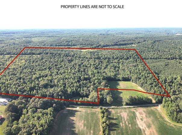 Kirk Trail, HOLLADAY, TN 38341