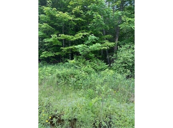 3-3-A Avenue Road, Corinth, ME 04427