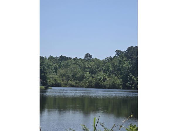 226 MY STREET, Havana, FL 32333