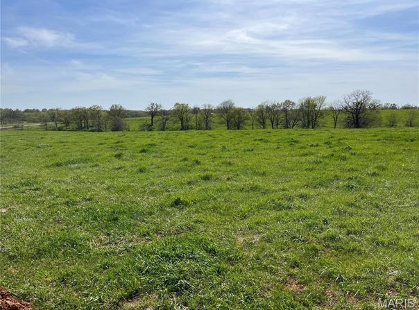 0 Lot 12 Pike 403 Drive, Bowling Green, MO 63334