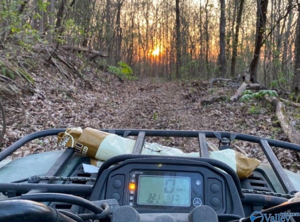 40 Acres County Road 414, Flat Rock, AL 35966
