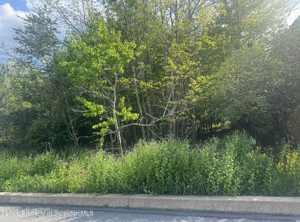 Chatham Hill Circle, South Abington Twp, PA 18411