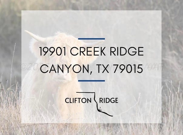 19901 Creek Ridge Ridge, Canyon, TX 79015