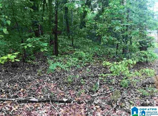 1400 29TH AVENUE lot: 31, HUEYTOWN, AL 35023
