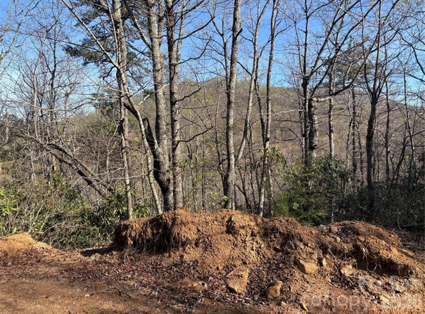 Kathy Lake Drive, Edneyville, NC 28792