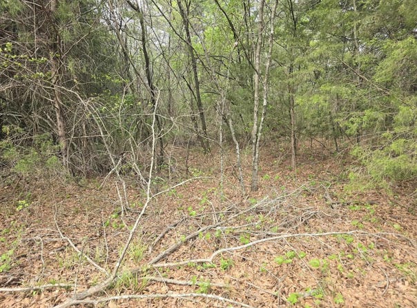 Daniel St, Cherokee, AL 35616